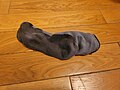 Thumbnail for File:Sock floor.jpg