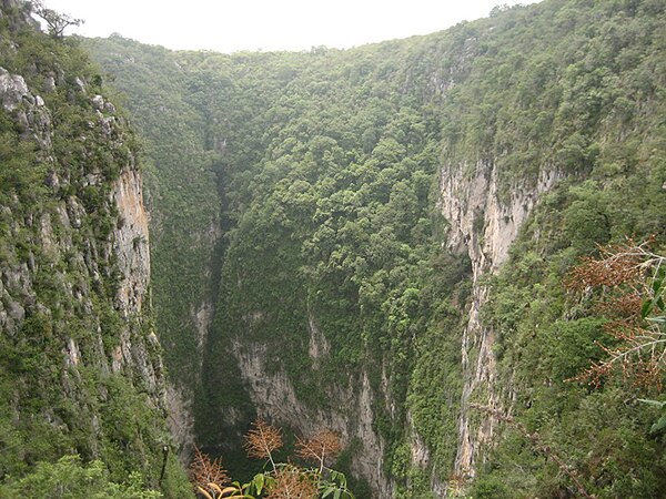 Sótano del Barro in the Sierra Gorda