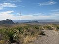 Vignette pour Sotol Vista Overlook