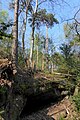 Southern rock shelter, used in the Palaeolithic, on Oldbury Hill. [12]