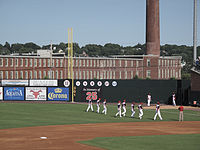 Lowell Spinners - Millie-Gator - Character Translations