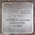 Stolperstein für Miklos Hamburg (Nagykanizsa).jpg