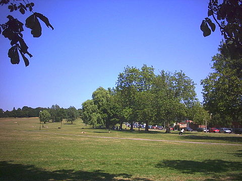 Streatham Common