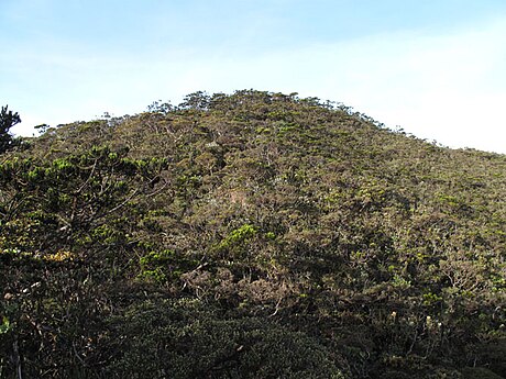 担布尤贡山