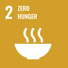 Sustainable Development Goal 02ZeroHunger.svg