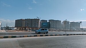 Swary Alexandria.jpg