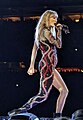 Taylor Swift, by Steve Jurvetson (2023)