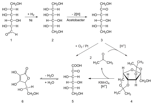 The outdated, but historically important industrial synthesis of ascorbic acid from glucose via the Reichstein process Synthesis ascorbic acid.svg