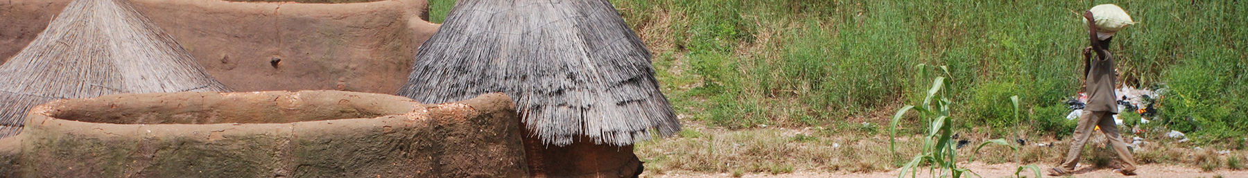 "Tata Somba" houses in Benin and Togo