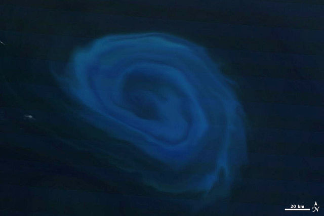 Light blue plankton in a 150 km (93 mi) wide anti-cyclonic (counter-clockwise) Agulhas ring, 800 km (500 mi) off the coast of South Africa. Such eddie