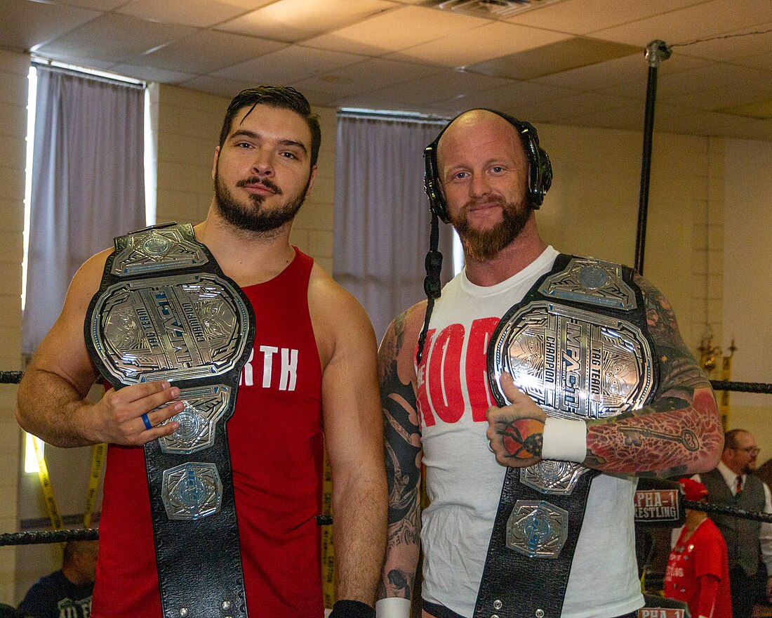 TNA World Tag Team Championship