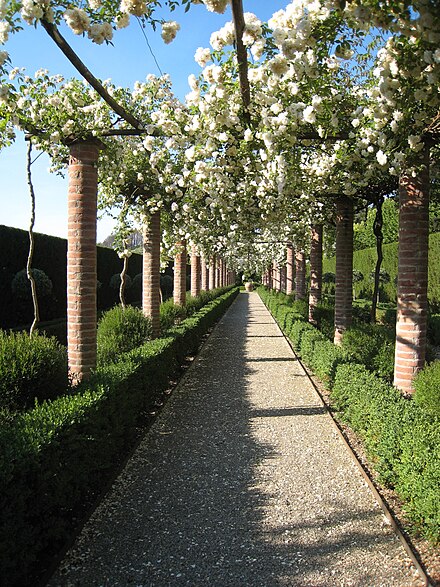 The Umbraculum at Villa Massei The Umbraculum, Villa Massei.JPG