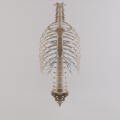 Thoracic Cage with Spine - Anatomy.gif