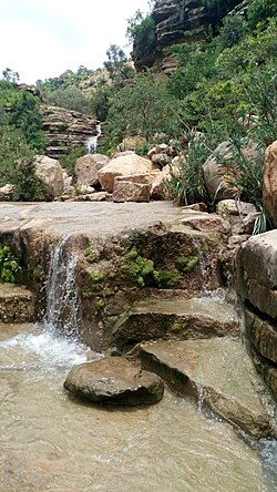 Togogwa river in exclosure.jpg