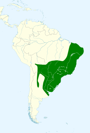 Turdus rufiventris map.svg