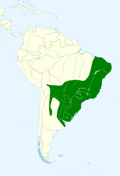 File:Turdus rufiventris map.svg