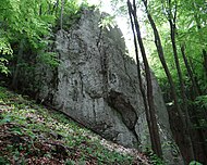 Turnia nad Szańcem DK70.jpg