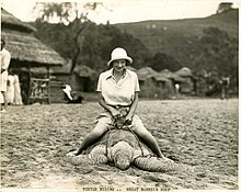Turtle riding was a popular tourist activity in the 1920s and 1930s. Turtle riding, Great Barrier Reef (7687773596).jpg