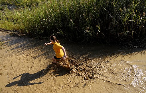 US Navy 080809-N-5345W-372 A runner sloshes her way through the final mud pit as she approaches the finish line of the eighth annual Health Net Armed Services YMCA Mud Run at Naval Amphibious Base Little Creek