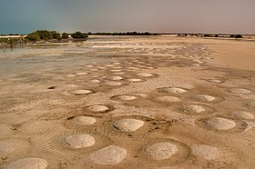 Песчаные насыпи в соляном болоте в Умм-Таис