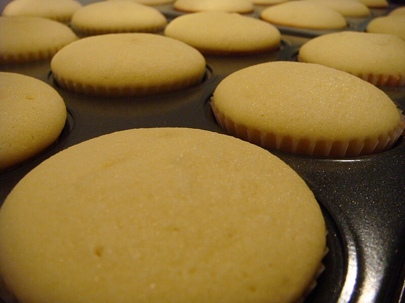 File:Unfrosted cupcakes, July 2009.jpg