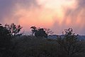 Victoria Falls 2012 05 24 1242 (7421890202).jpg