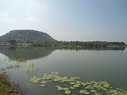 नक्कपल्ली से झील के पार उपमाका मन्दिर का दृश्य