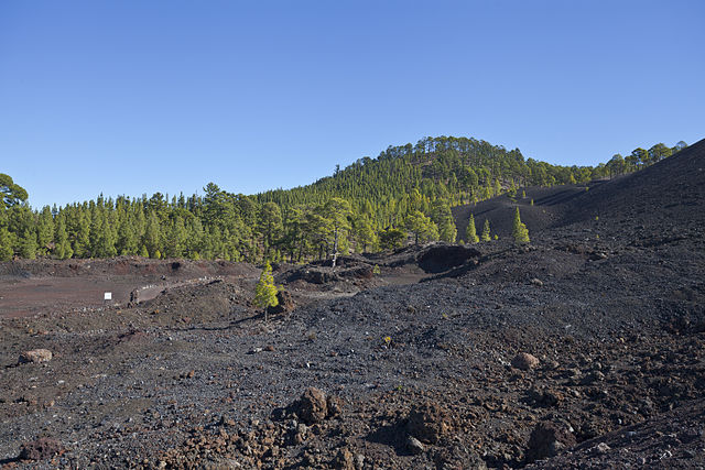 File:Vistas_del_Parque_Nacional_del_Teide_desde_la_TF-38,_Tenerife,_España,_2012-12-16,_DD_04.jpg