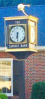 The Savings Bank