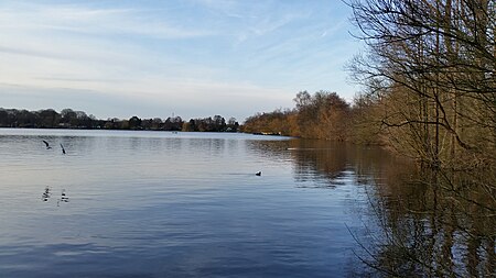 Wambachsee