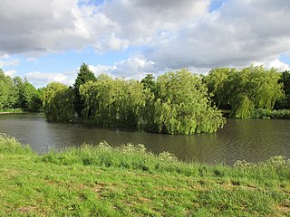 Highfields Lake Lake in South Yorkshire, England