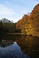 * Nomination: Lake in Büschergrund, Germany. --Bartiebert 13:55, 5 November 2010 (UTC) * * Review needed