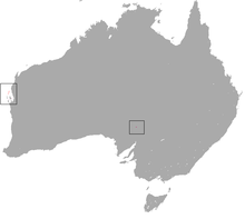 Western Barred Bandicoot area.png 