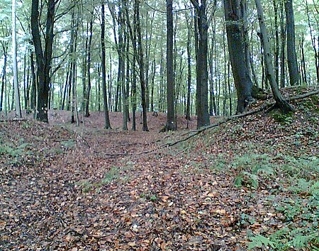 Westlicher Zugang Vogelsburg