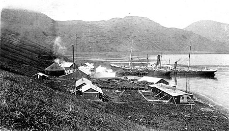 Whaling station showing buildings and harbor, Akutan, Alaska, ca 1915 (COBB 79).jpeg