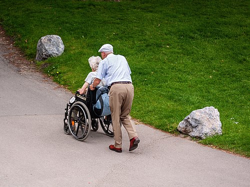 Man pushes a woman in a wheelchair in the Burggarten in Vienna