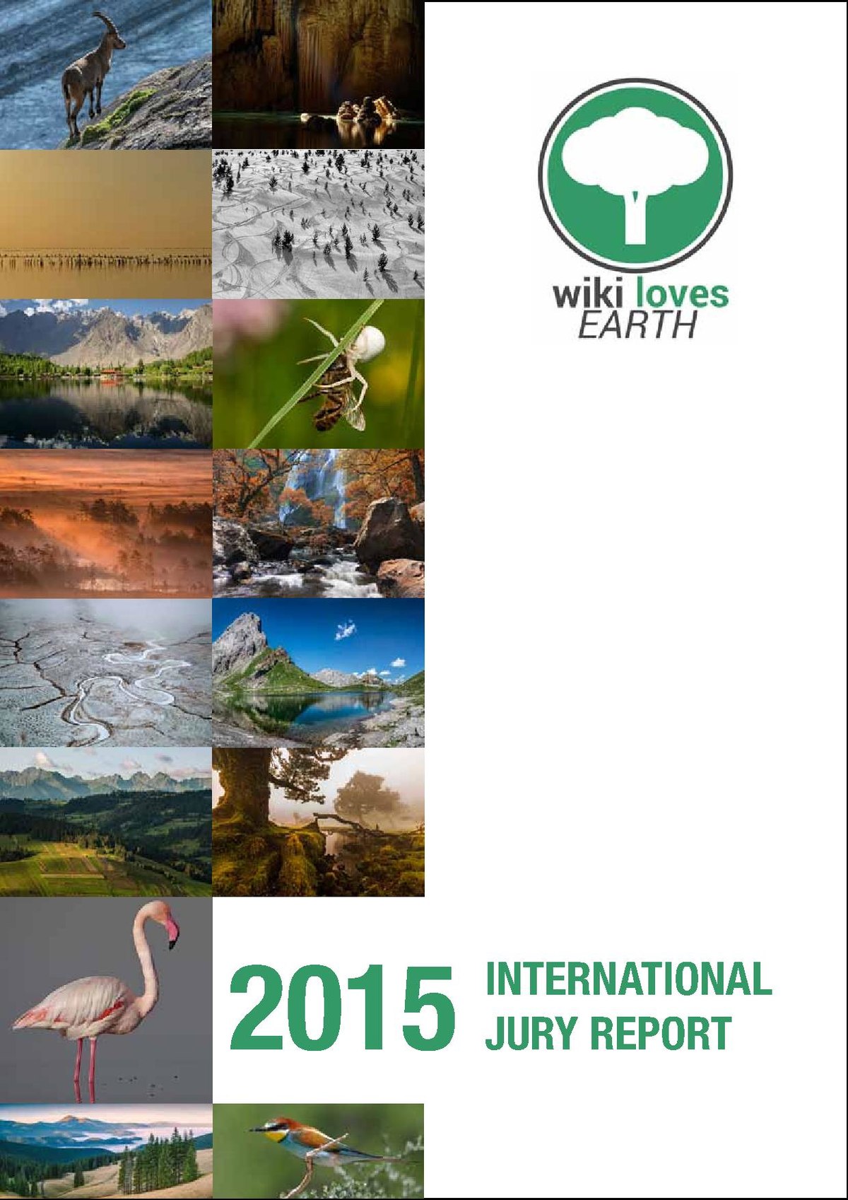Low resolution Wiki Loves Earth 2015 international jury report (optimised for Web, 2 MB)