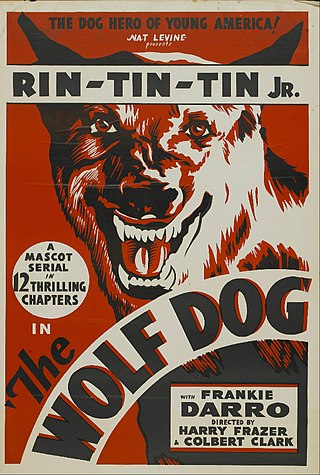 <i>The Wolf Dog</i> 1933 American film series