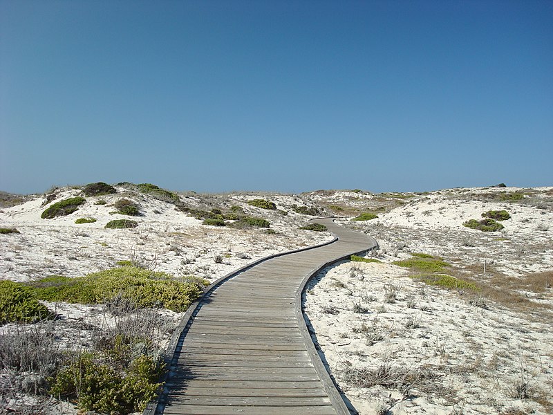 File:Wooden pathway at the Asilomar State Beach.jpg