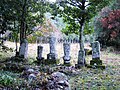 Ruins of Saiko-ji temple (12/2008)