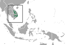 Gelbwangen-Gibbon area.png