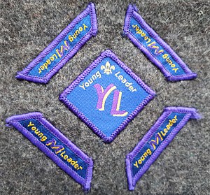 The 2003-2015 design of Young Leader award badges. Young Leader scheme badges.jpg