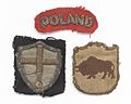 Zenon Offenkowski Army Uniform Badges