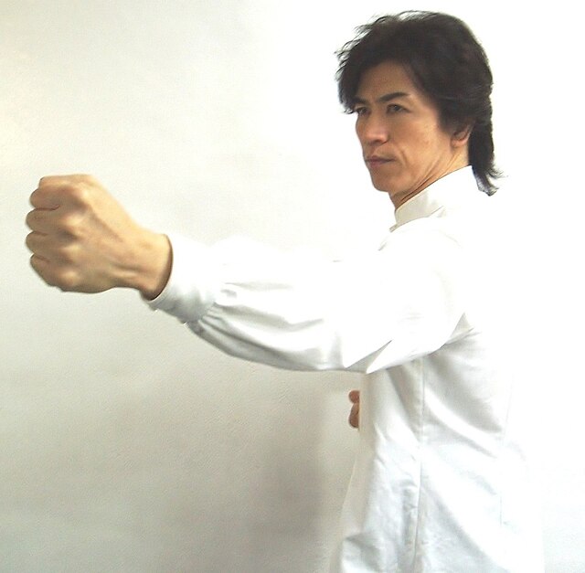 宮平保師範 伝統中国拳法の凄さ 究める これが武術だ 第1巻基本技法編 