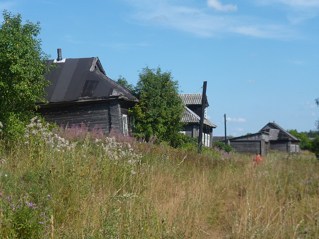 Верховик (Окуловский район)