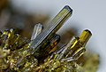 * Nomination Epidote crystals on matrix mined in Katsna Yama, Pervouralsk, Sverdlovsk Oblast, Russia – Field of view: 6 mm. By User:Gleb Korovko --Ra'ike 19:02, 15 April 2023 (UTC) * Promotion  Support Good quality. --BigDom 06:19, 20 April 2023 (UTC)