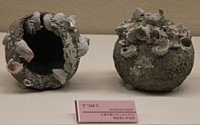 Stoneware bombs, known in Japanese as Tetsuhau (iron bomb), or in Chinese as Zhentianlei (thunder crash bomb), excavated from the Takashima shipwreck, October 2011, dated to the Mongol invasions of Japan (1271-1284 AD). tetsuhau(Zhen Tian Lei ).JPG