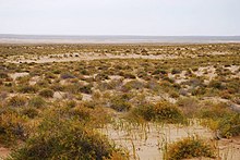 Gobi Desert - Wikipedia