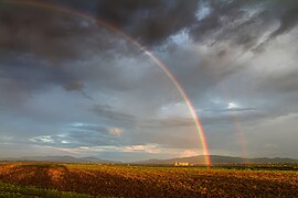 Arc-en-ciel dans le raïon.