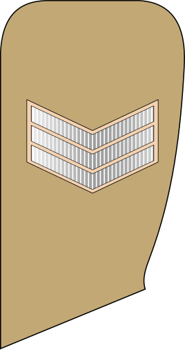 File:03-UAEA-SGT.svg